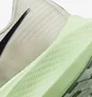 Кроссовки женские Nike Air Zoom Pegasus 39 Beige DH4072-101