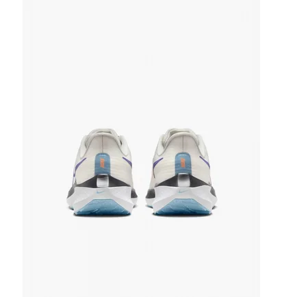 Кросівки жіночі Nike Pegasus 39 White Dh4072-006