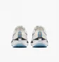 Кросівки жіночі Nike Pegasus 39 White Dh4072-006