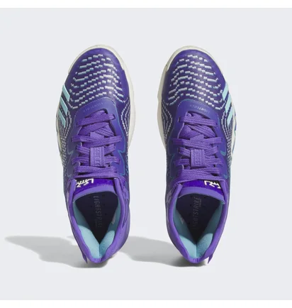 Кроссовки женские Adidas D.O.N Issue #4 Basketball Shoes Violet Hr0710