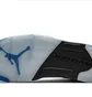 Кроссовки мужские Air Jordan 5 Retro White DD0587-140