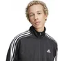 Спортивный костюм мужской Adidas M 3S Dk Ts Black IX1277