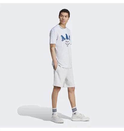 Футболка мужская Adidas Aac Tee White IM4572