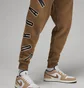 Штаны мужские Air Jordan Flight Mvp Brown FB7027-281