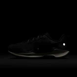Кросівки чоловічі Nike Pegasus Trail 5 Black DV3864-006