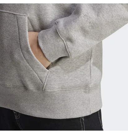 Худи мужское Adidas All Szn Fleece Graphic Hoodie Grey Ic9772