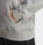 Худи мужское Adidas All Szn Fleece Graphic Hoodie Grey Ic9772