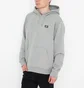 Худі чоловіче Dickies Oakport Hoodie Grey DK0A4XCDGYM