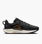 Кросівки чоловічі Nike Pegasus Trail 5 Black DV3864-006