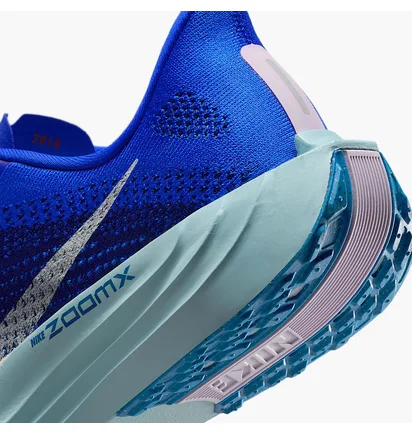 Кросівки чоловічі Nike Pegasus Plus Prm Blue HQ1719-400