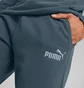 Штаны мужские Puma Ess Elevated Blue 673388-16