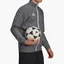 Олимпийка мужская Adidas Jacket Ent22 Pre Jkt Grey H57535