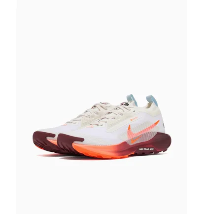 Кроссовки мужские Nike Pegasus Trail 5 Gtx White FQ0908-104