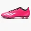 Бутси унісекс Adidas X Speedportal.4 Fg Pink GZ2461