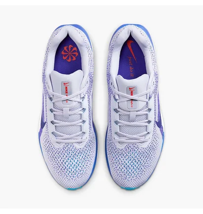 Кросівки чоловічі Nike Air Winflo 11 Light Blue FJ9509-006
