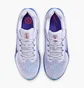 Кросівки чоловічі Nike Air Winflo 11 Light Blue FJ9509-006