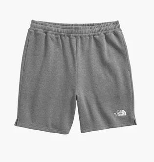 Шорти чоловічі The North Face Evolution Grey NF0A86WDGAZ-R