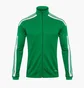 Олімпійка чоловіча Adidas Squadra 21 Training Jacket Green GP6462