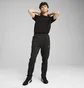 Штаны мужские Puma Evostripe Pants Black 684614-01