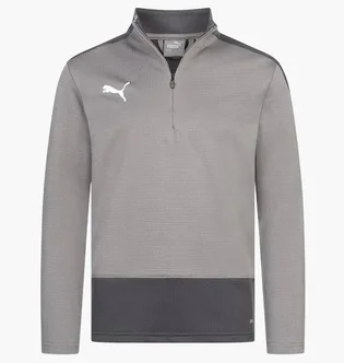 Кофта дитяча Puma Teamgoal Grey 656567-13