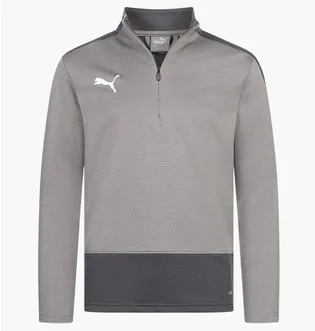Кофта детская Puma Teamgoal Grey 656567-13