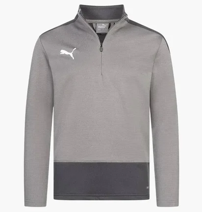 Кофта детская Puma Teamgoal Grey 656567-13