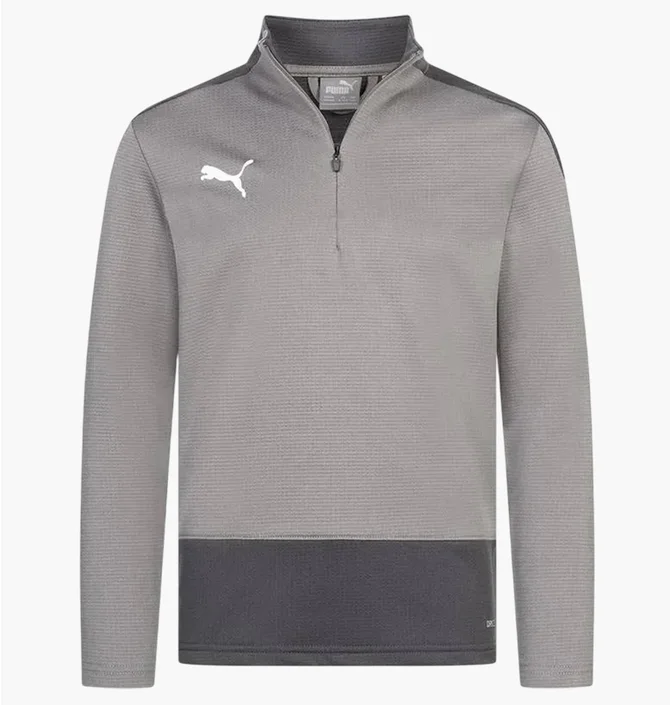 Кофта детская Puma Teamgoal Grey 656567-13