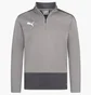 Кофта детская Puma Teamgoal Grey 656567-13