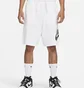Шорты мужские Nike Club Alumni White DX0502-100
