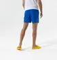 Шорти чоловічі Nike Essential Blue NESSA560494
