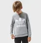 Свитшот детский Adidas Trefoil Crew B Grey GD2709