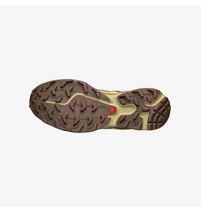 Кроссовки мужские Salomon Xt-6 Brown L47136100