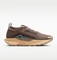 Кросівки унісекс Nike Pegasus Trail 5 Gtx Brown FQ0912-200