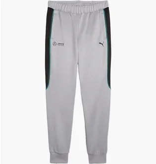 Штани чоловічі Puma Mercedes-Amg Petronas F1® Mt7+ Track Pants Grey 627317-02