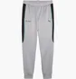 Штаны мужские Puma Mercedes-Amg Petronas F1® Mt7+ Track Pants Grey 627317-02