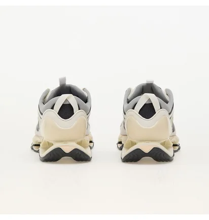 Кроссовки мужские Mizuno Wave Prophecy Β 2 Beige D1GA235009