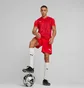 Футболка чоловіча Puma Teamultimate Red 705371-01