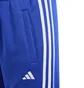 Штаны детские Adidas Tres 3 Stripes Blue IR7542