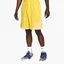 Шорты мужские Nike Dri-Fit Yellow DH6763-709