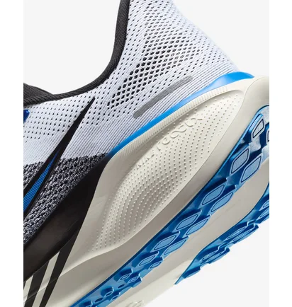 Кроссовки мужские Nike Pegasus 41 White HV5218-100
