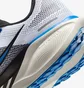 Кроссовки мужские Nike Pegasus 41 White HV5218-100