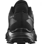 Кроссовки мужские Salomon Alphacross 5 Gtx Black L47307500