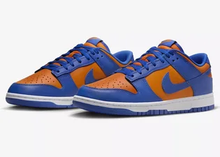 Кроссовки мужские Nike Dunk Low Blue/Orange DV0833-800