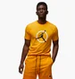 Футболка чоловіча Air Jordan T-Shirt Flight Mvp Orange DV8436-717