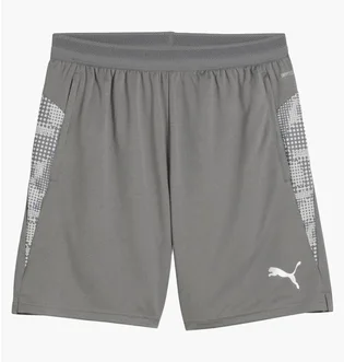 Шорти чоловічі Puma Teamcup Grey 659171-13