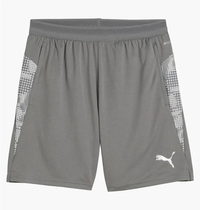 Шорти чоловічі Puma Teamcup Grey 659171-13