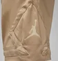 Шорты мужские Air Jordan Dri-Fit Sport Beige DZ0557-200
