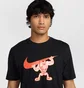 Футболка мужская Nike Kyky Gym Cult Black HJ3680-010