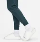 Штаны женские Nike Ns Club Flc Shine Mr Pant Blue FB8760-328