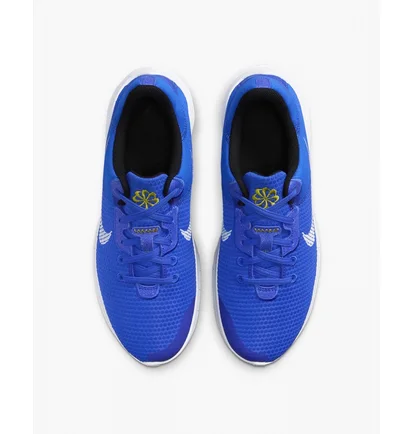Кроссовки мужские Nike Flex Experience Run 11 Blue DD9284-402